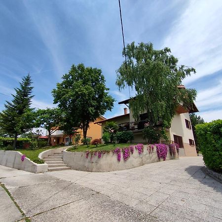 Apartma Breza Kojsko Zewnętrze zdjęcie